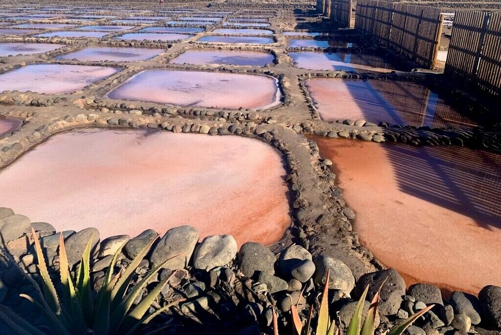 Las salinas de Tenefé