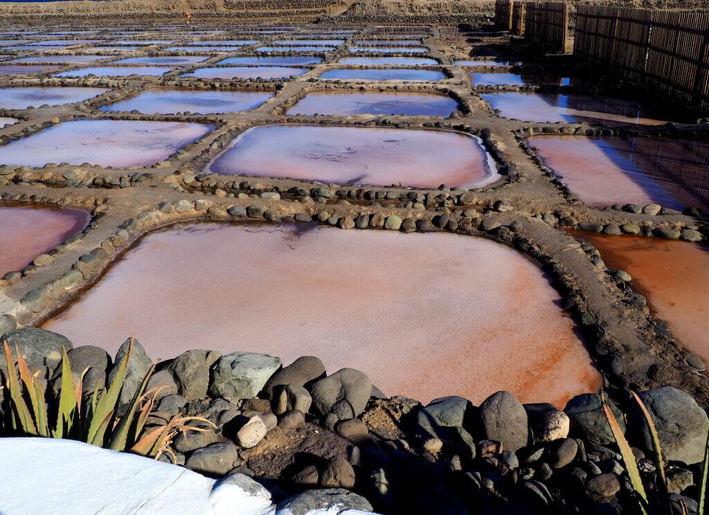 Cae la tarde sobre las Salinas de Tenefé