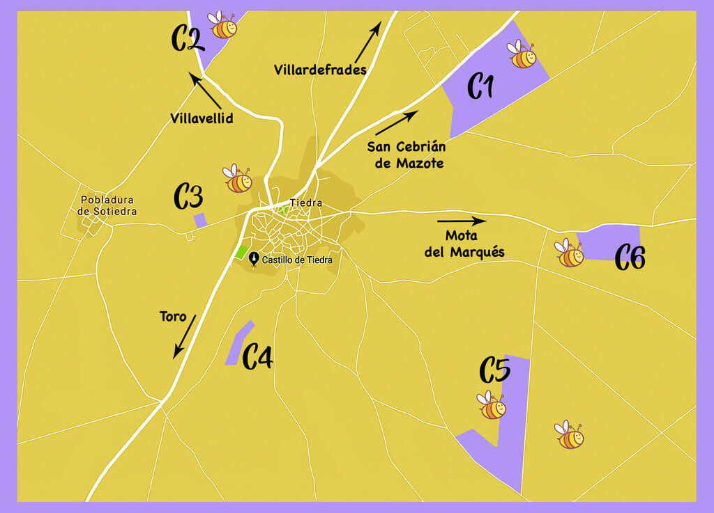 Localización exacta de los campos de lavanda. Fuente: Oficina de turismo de Tiedra