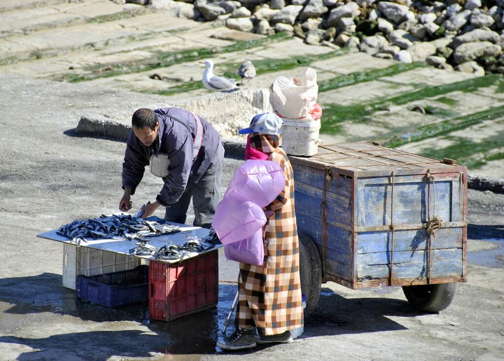 Vendedores de pescado en el puerto de Essaouira