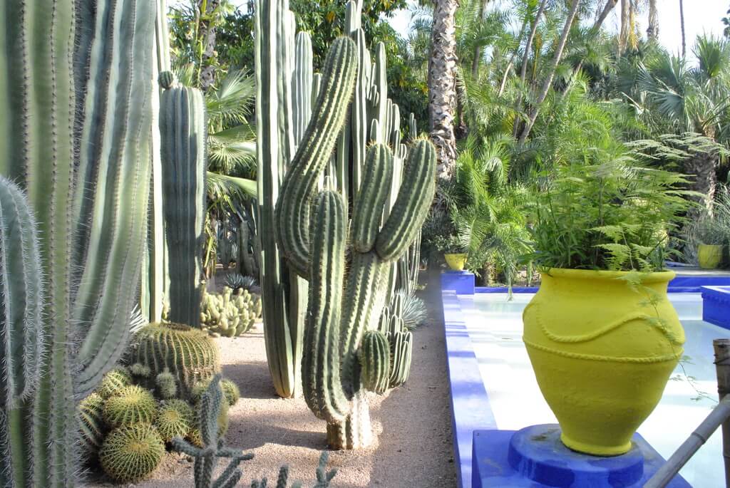 Jardín majorelle