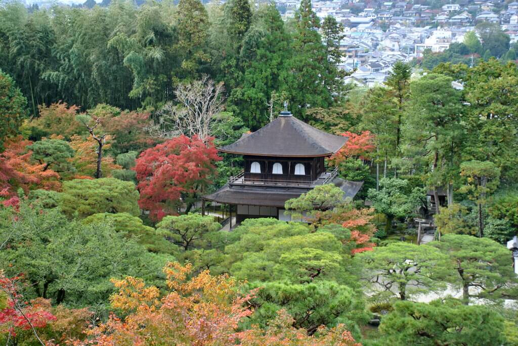 ruta 15 días por Japón