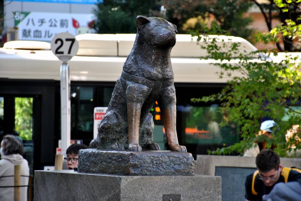 Qué ver en Shibuya