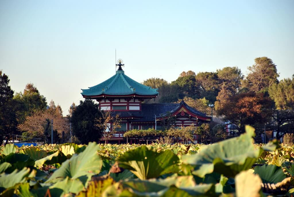 Estanque Shinobazu con el Templo Bentendo al fondo