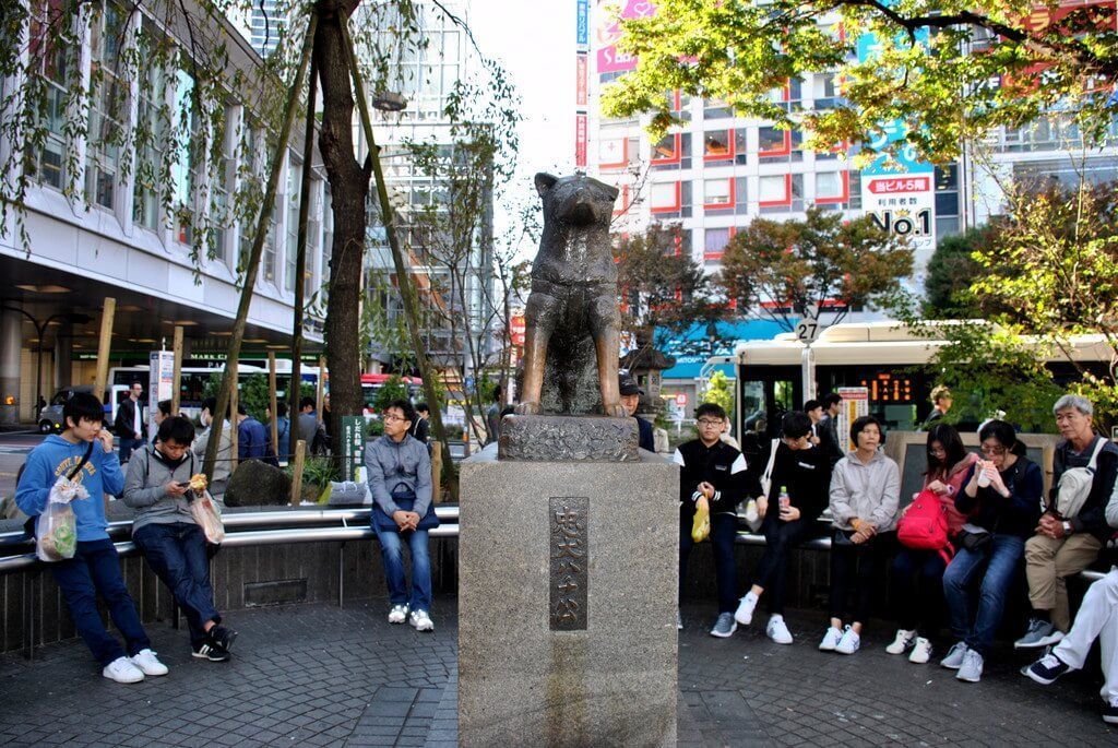 qué ver en shibuya