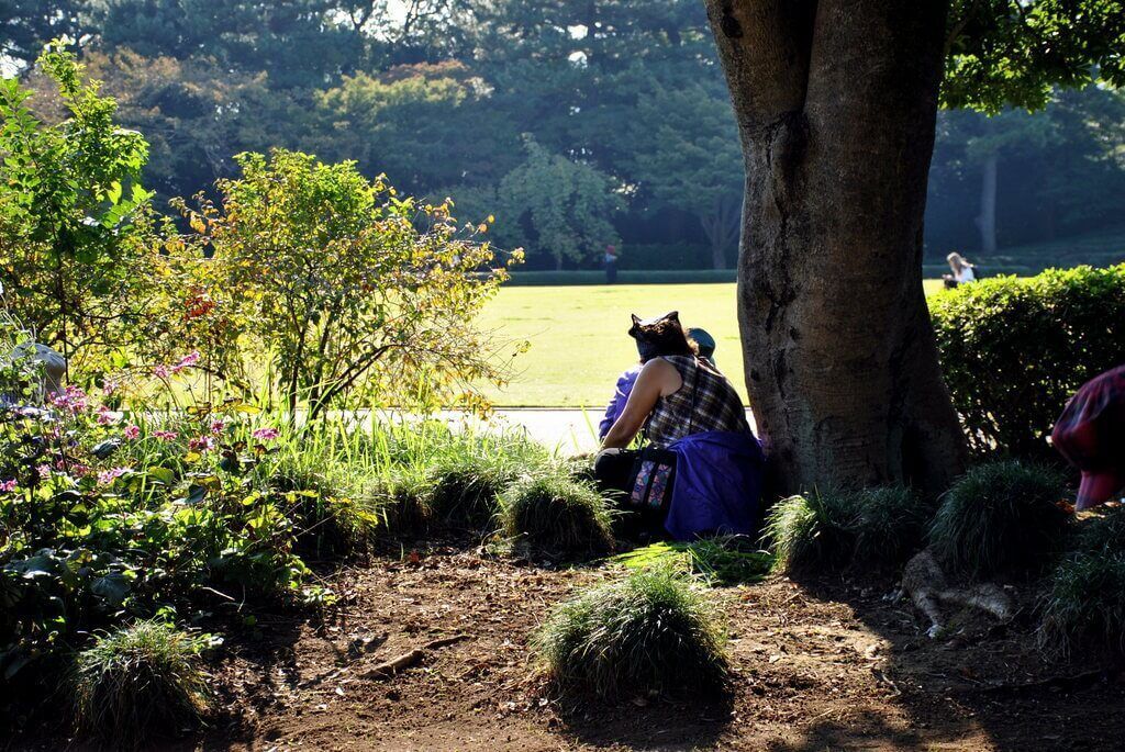 Jardines orientales de Tokio