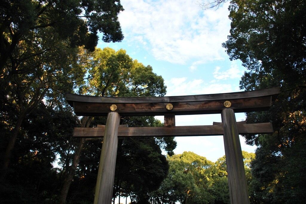 Torii de entrada al Santuario de Meiji