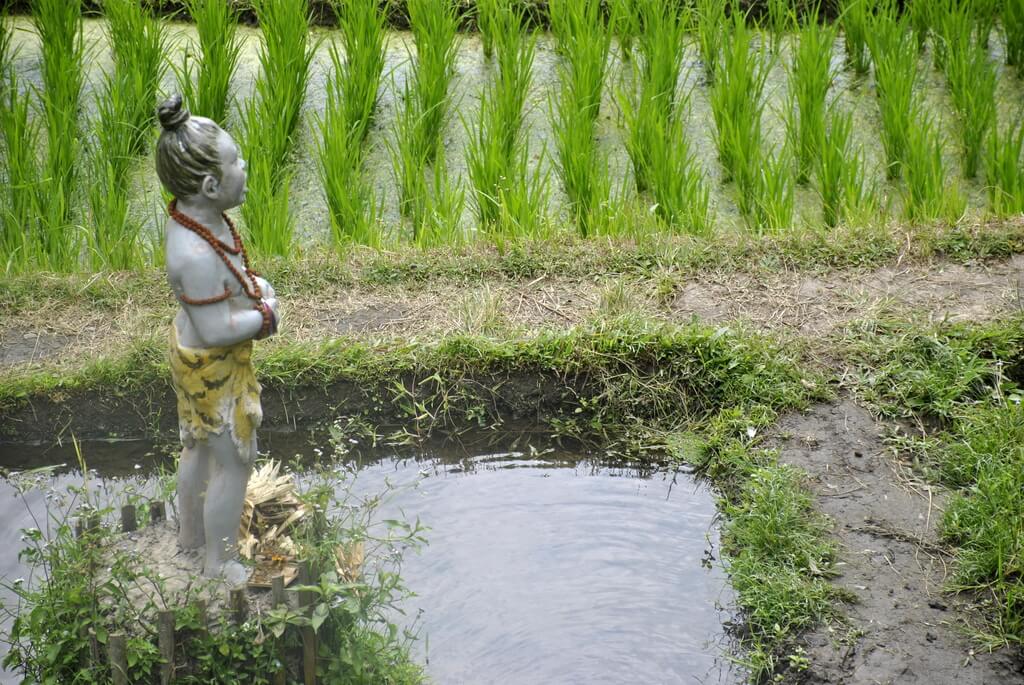 ruta de 10 días por Bali