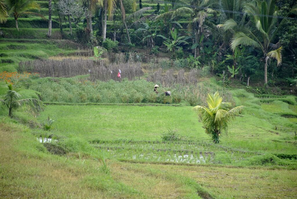 ruta de 10 días por Bali