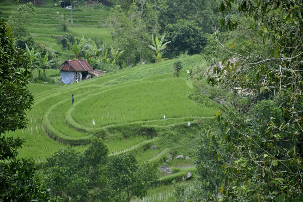 ruta de 10 días por Bali