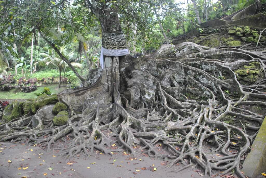 ruta de 10 días por Bali