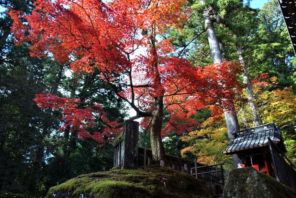 qué ver en Nikko