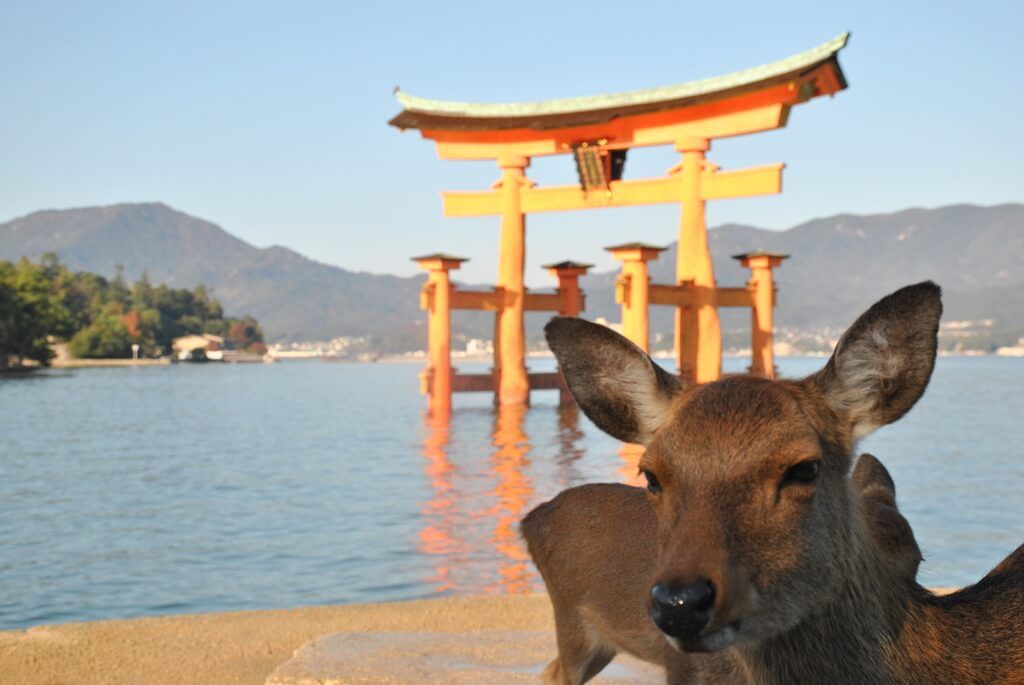 guía para visitar Miyajima