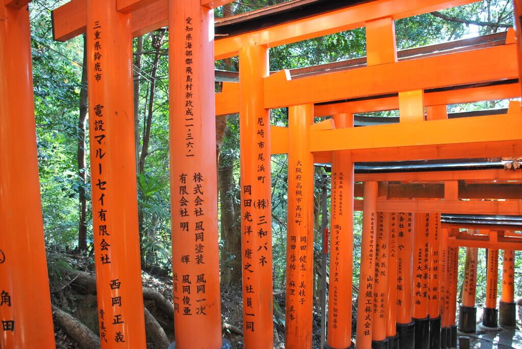  Santuario Fushimi Inari Taisha