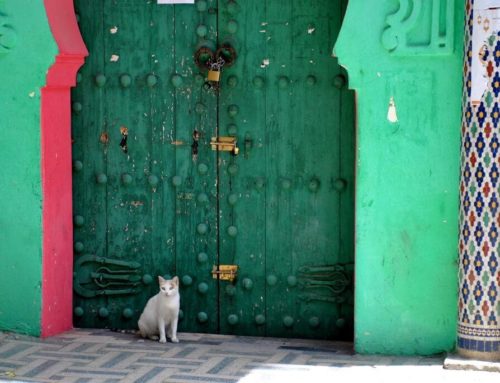 Qué ver en Fez. La esencia de Marruecos