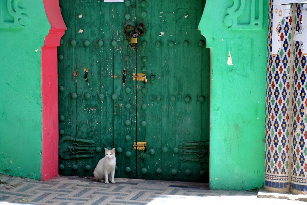 Qué ver en Fez. La esencia de Marruecos