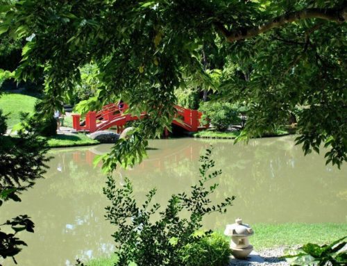 El jardín japonés de Toulouse