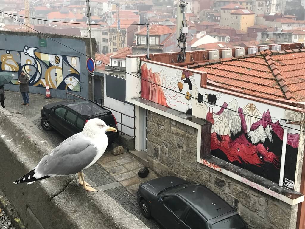 Una gaviota en el Miradouro da Victoria miradores de Oporto