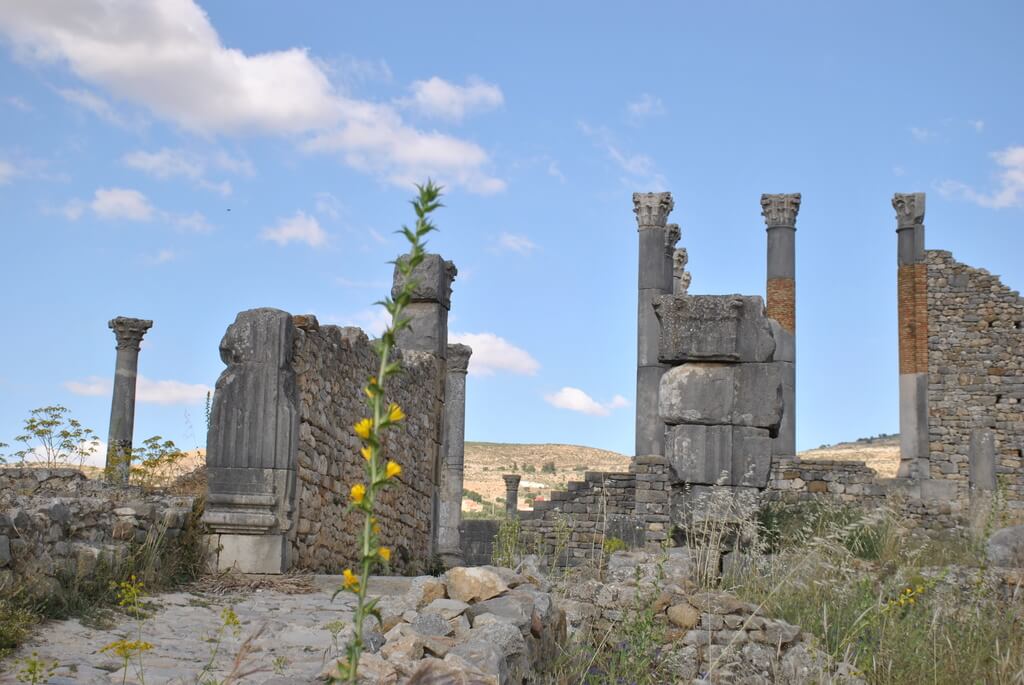 Un detalle del foro de Volubilis