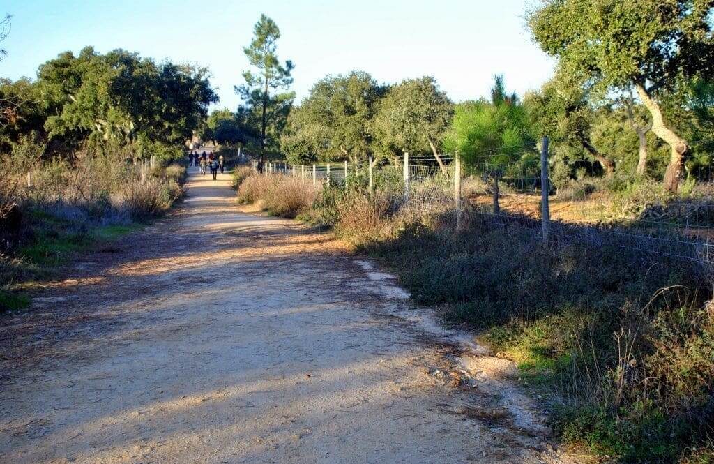 Sendero que conduce al Crómlech de los Almendros