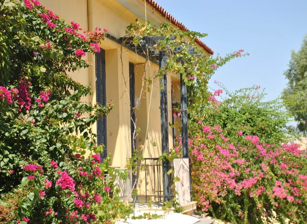 Rincones de Anafiotika Rincones de Anafiotika