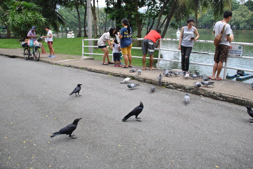 Lumphini Park