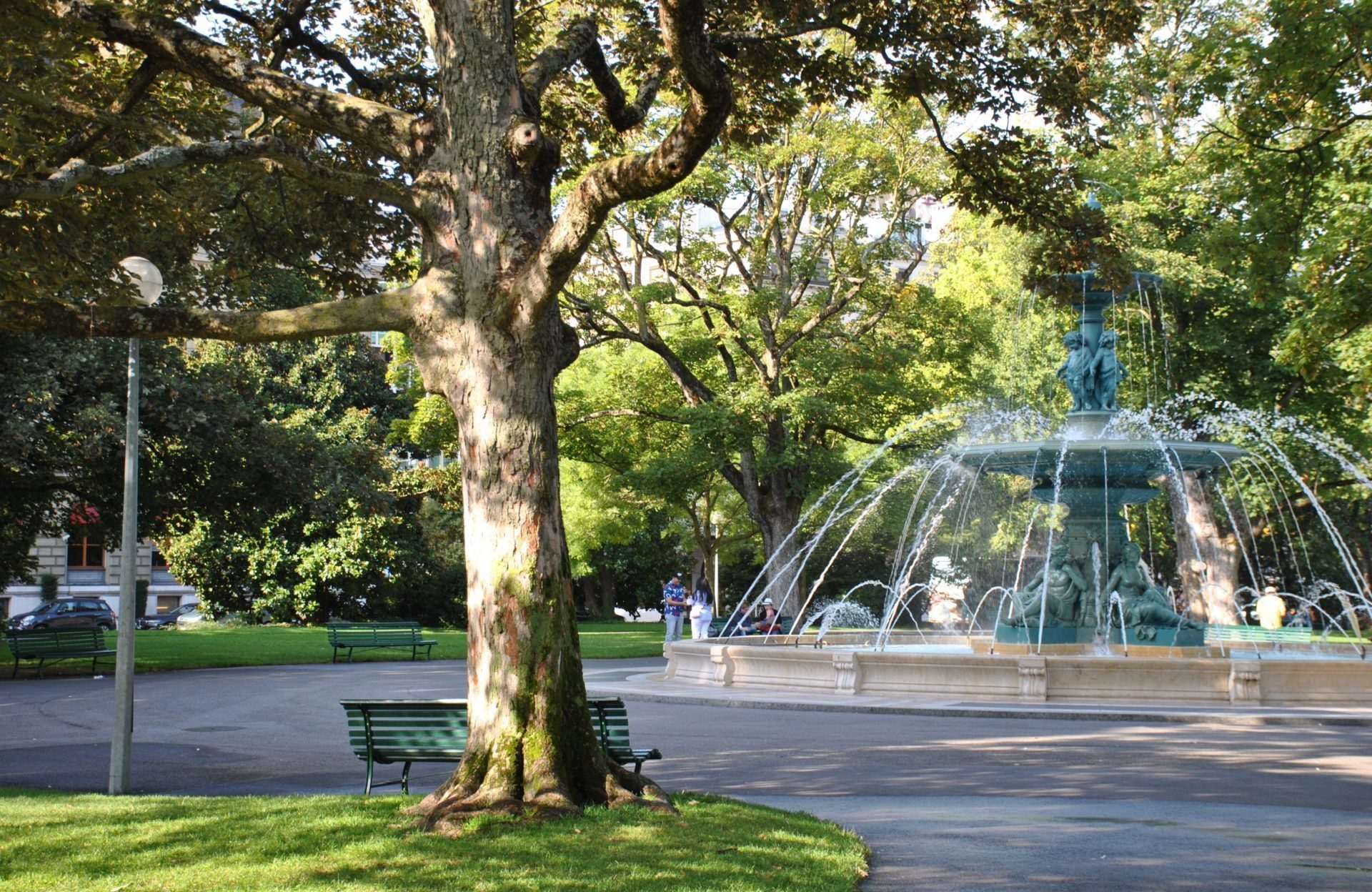 Rincones del jardín