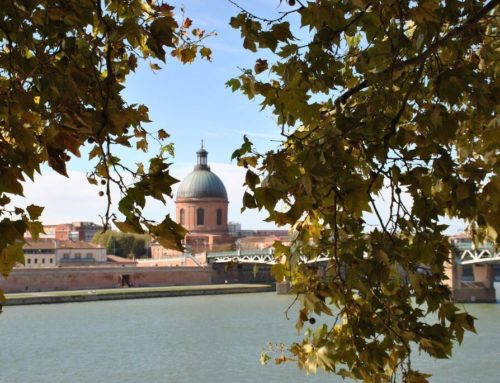 Dónde alojarse en Toulouse