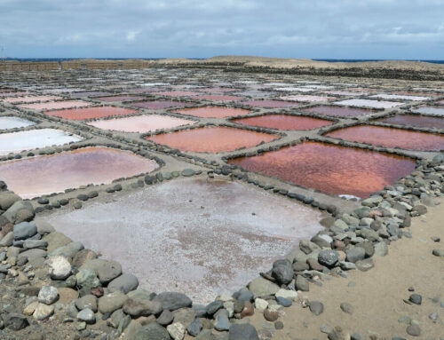 Las Salinas de Tenefé, un mar salado en Gran Canaria