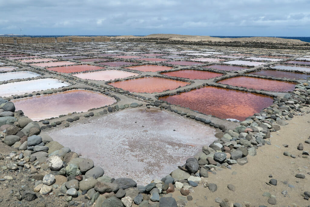 Las Salinas de Tenefé