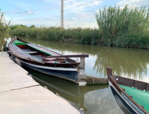 El Palmar o cómo dar un paseo en barca por la Albufera