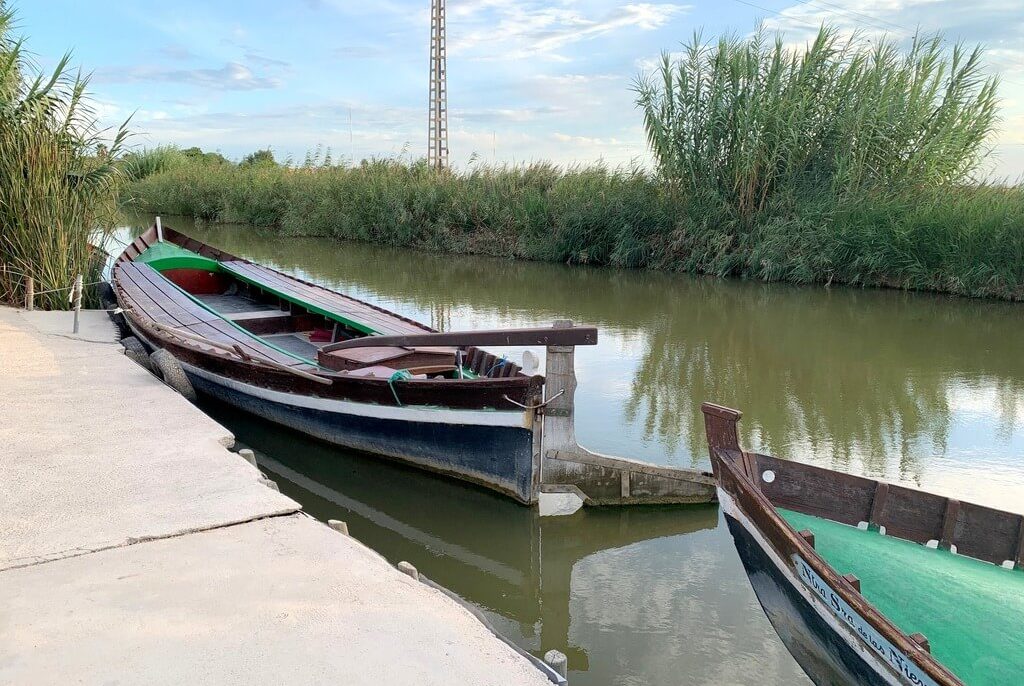 Paseo en barca por la Albufera