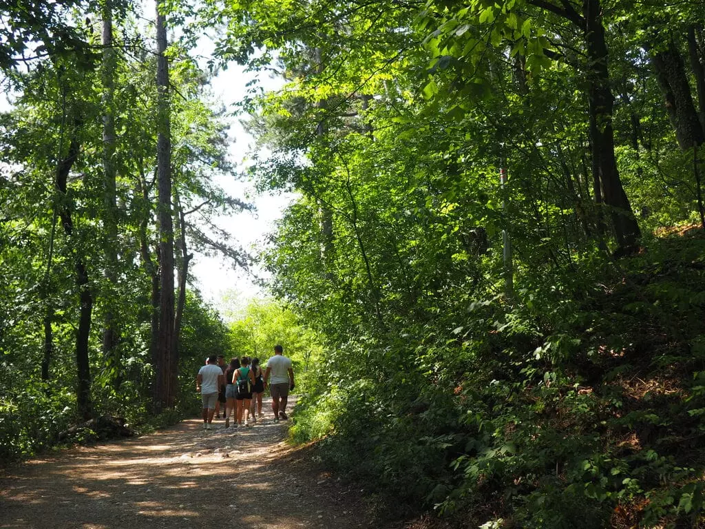 Camino que lleva al mirador del Monte Tampa