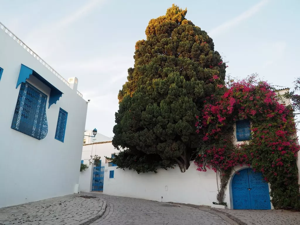 qué ver en Sidi Bou Said