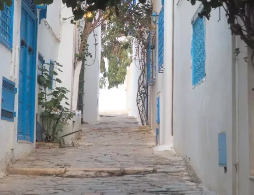 Qué ver en Sidi Bou Said