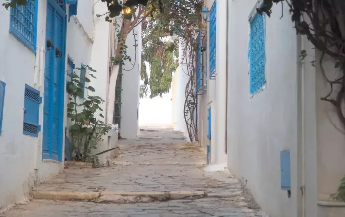 Qué ver en Sidi Bou Said