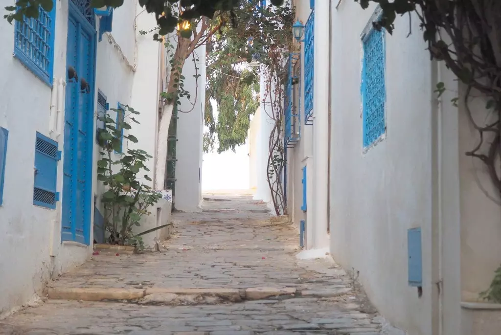 Qué ver en Sidi Bou Said