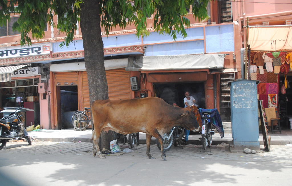 qué ver en Jaipur