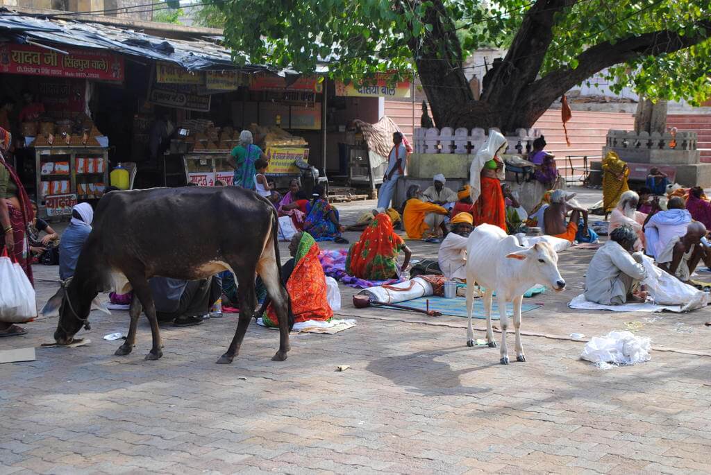 qué ver en Orchha