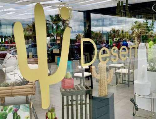 Desert City, el vivero de cactus de Madrid