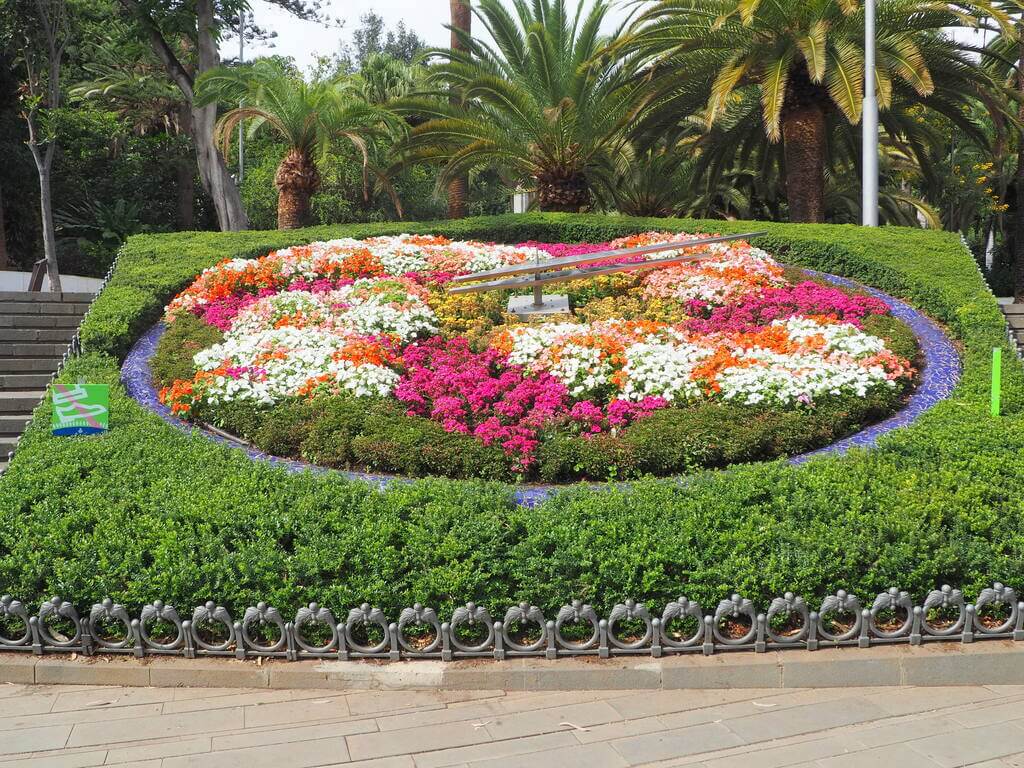 Reloj de flores