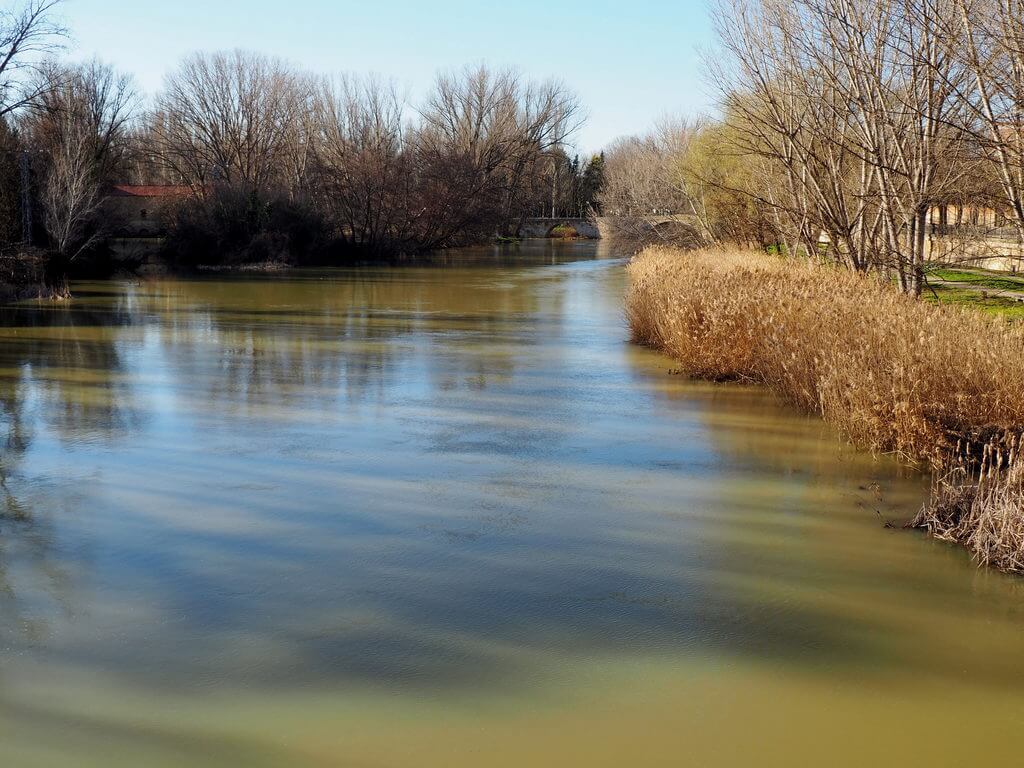 El río Carrión a su paso por Palencia