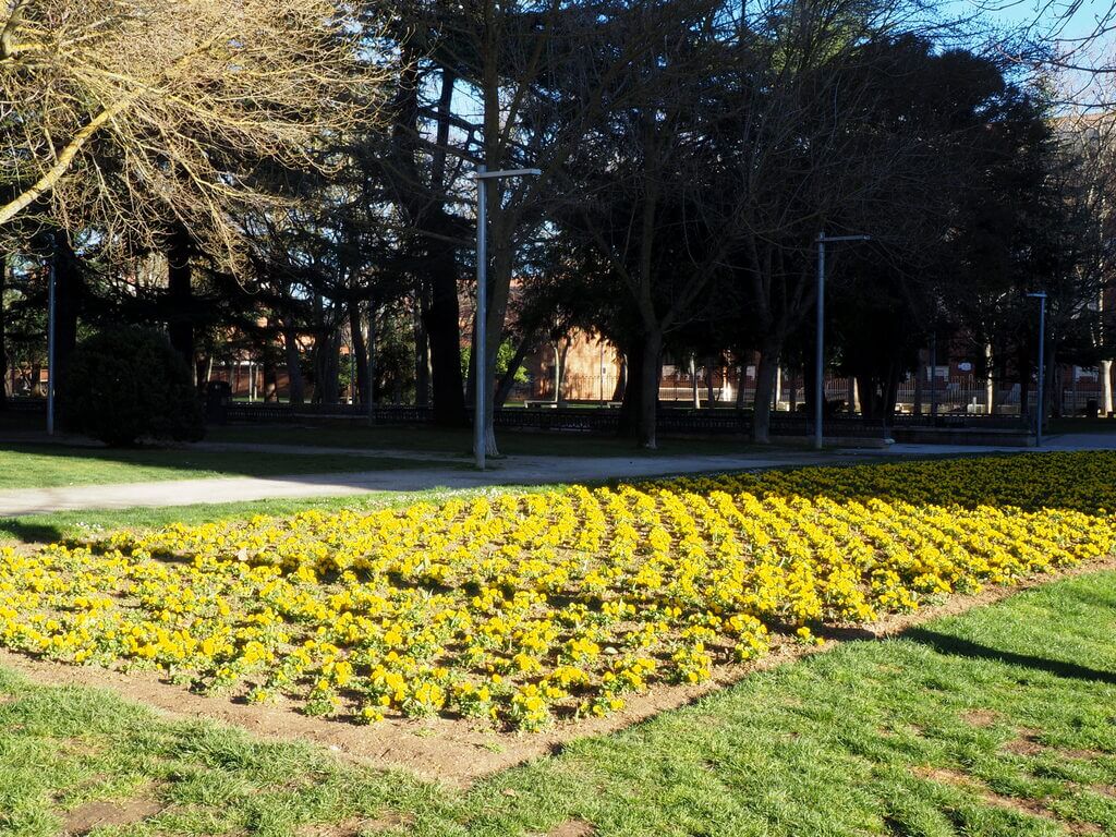 Parque del Salón