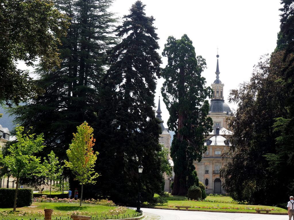 Colegiata de la Santísima Trinidad Colegiata de la Santísima Trinidad