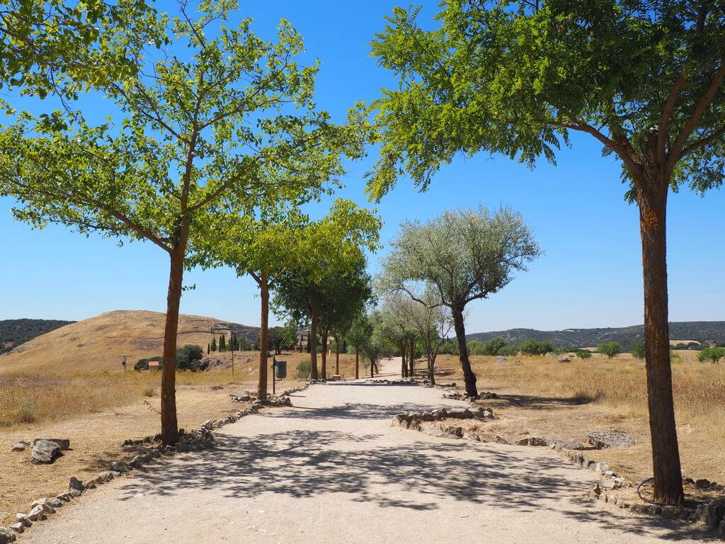 Sendero que conduce a la entrada de Segóbriga