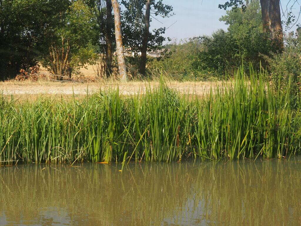 paseo en barco por el canal de Castilla