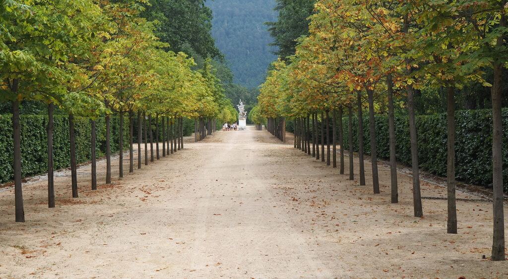 Jardines reales de La Granja palacio real de La Granja