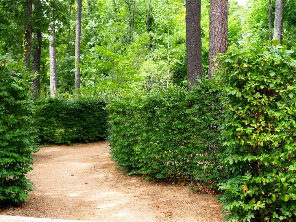 Interior de los Jardines reales de La Granja