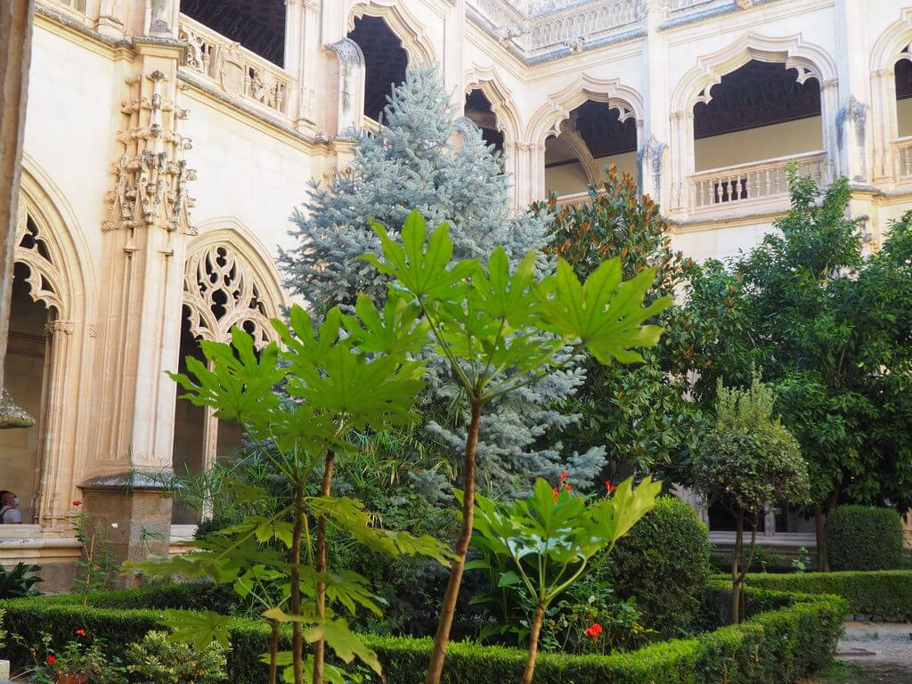 Planta baja del claustro