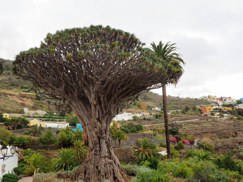 ruta por Tenerife